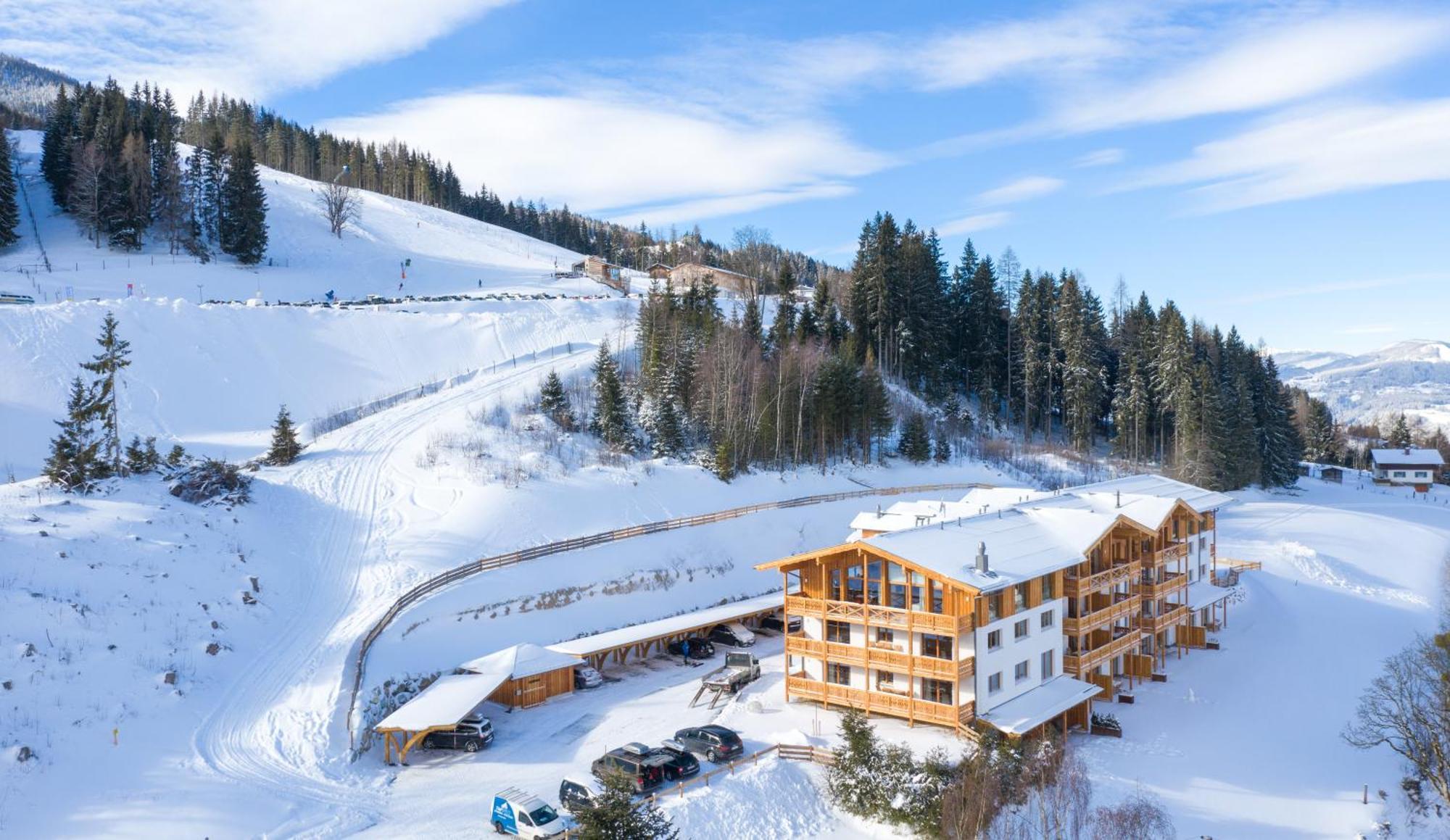 Skylodge Alpine Homes Haus im Ennstal Bagian luar foto