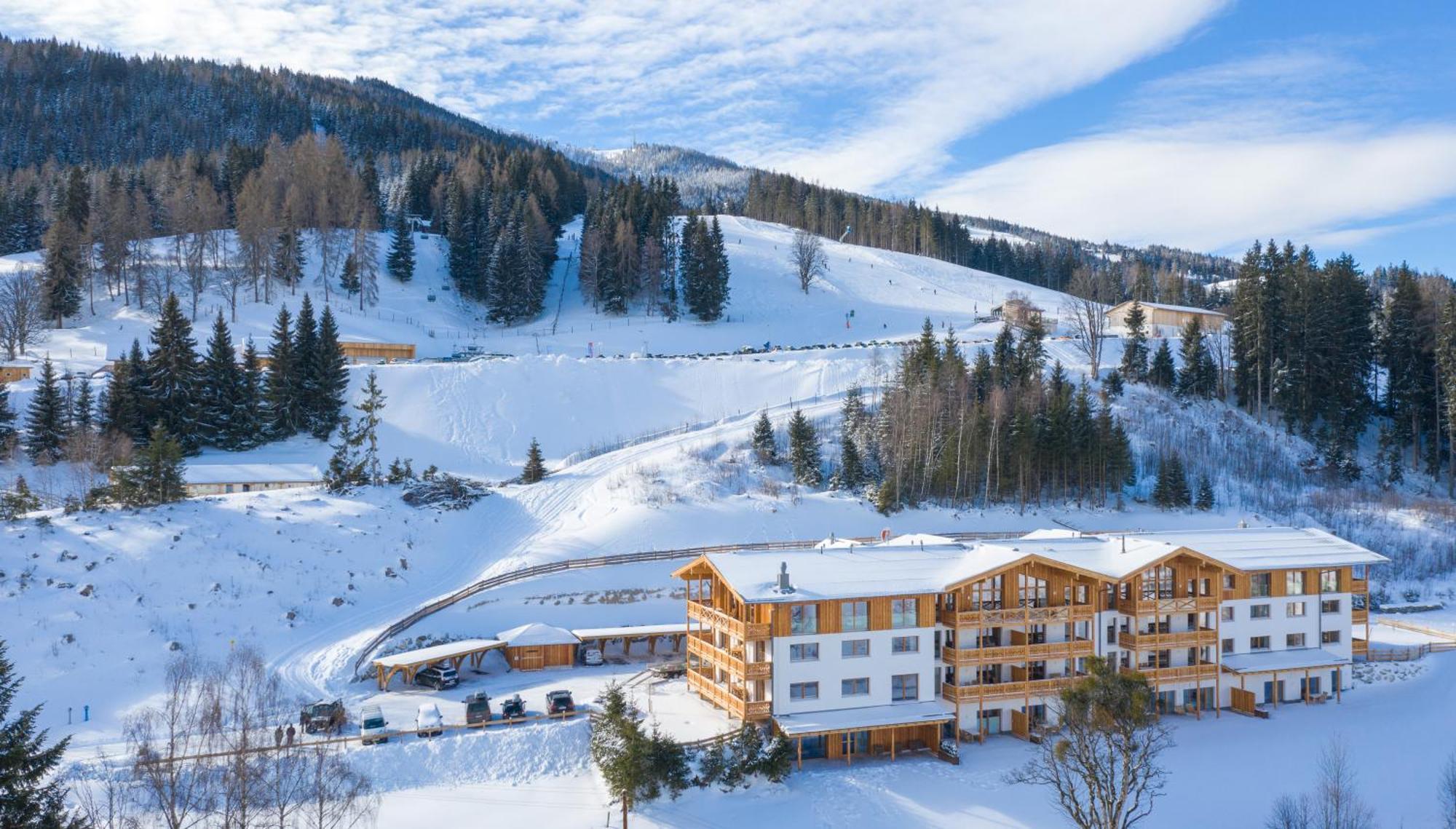 Skylodge Alpine Homes Haus im Ennstal Bagian luar foto