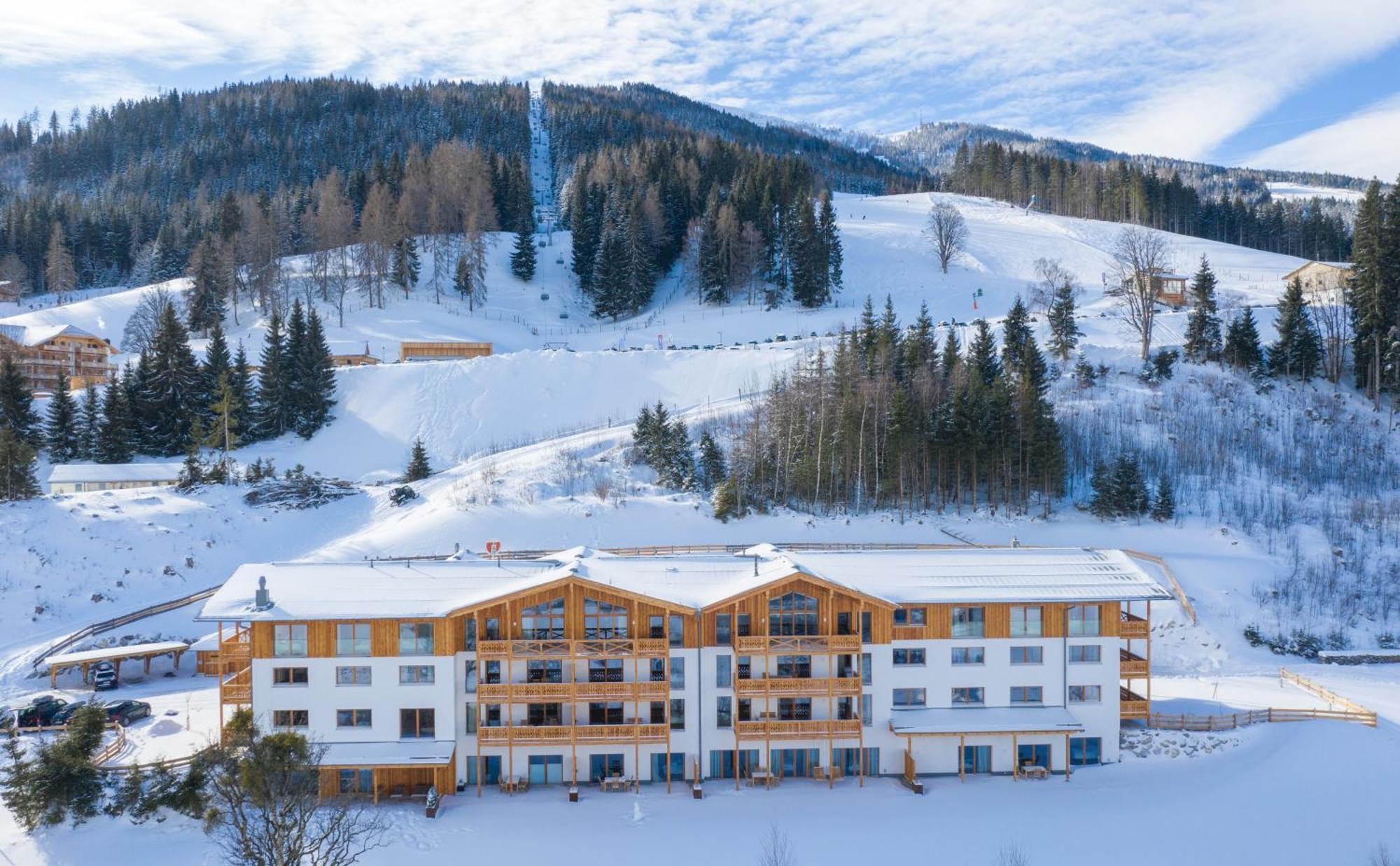 Skylodge Alpine Homes Haus im Ennstal Bagian luar foto